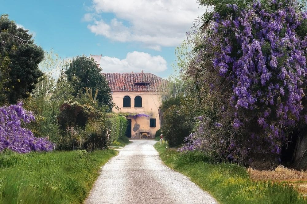 Mesole Cavallino Treporti Mesole Cavallino Treporti